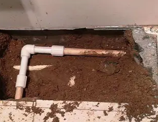 东丰测漏水哪家好